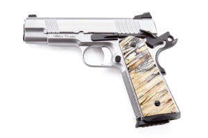 Stainless Polished Sides of Slide and Frame w/ Blued Small Parts