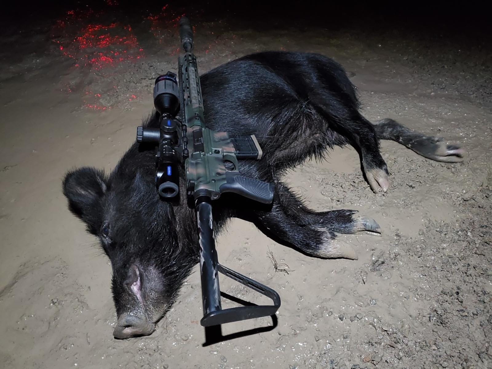 Wilson Combat hunting photo