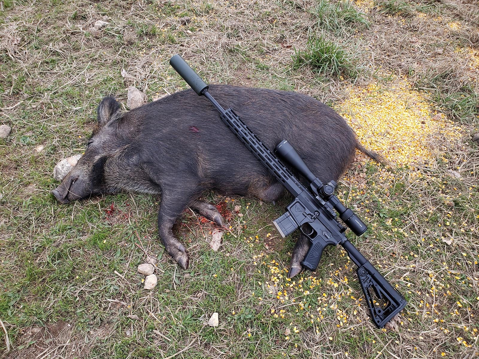 Wilson Combat hunting photo