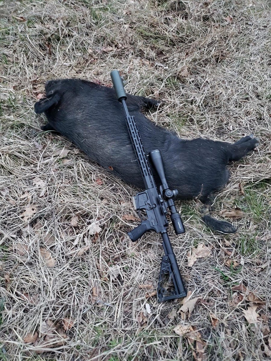 Wilson Combat hunting photo