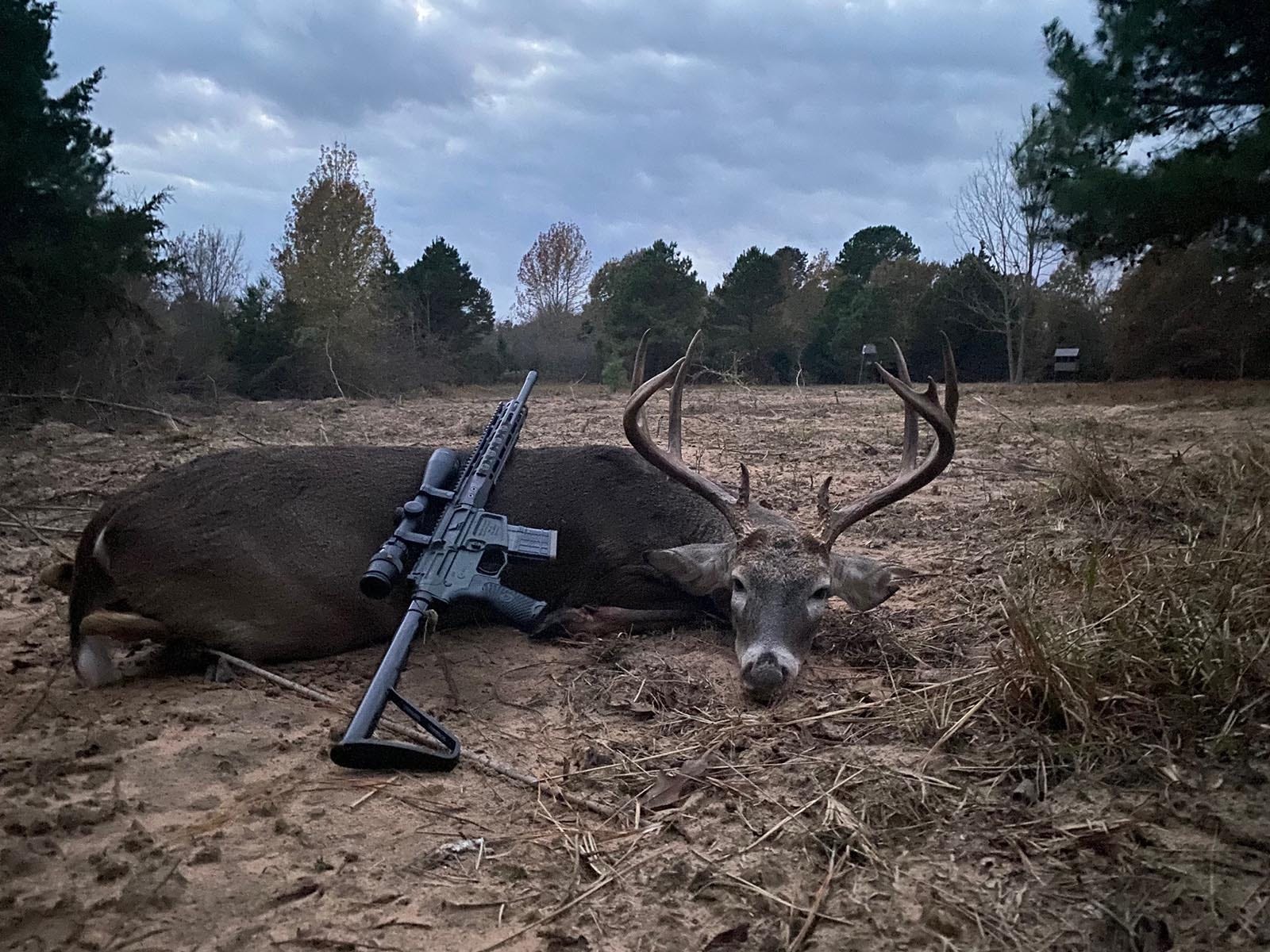 Wilson Combat hunting photo