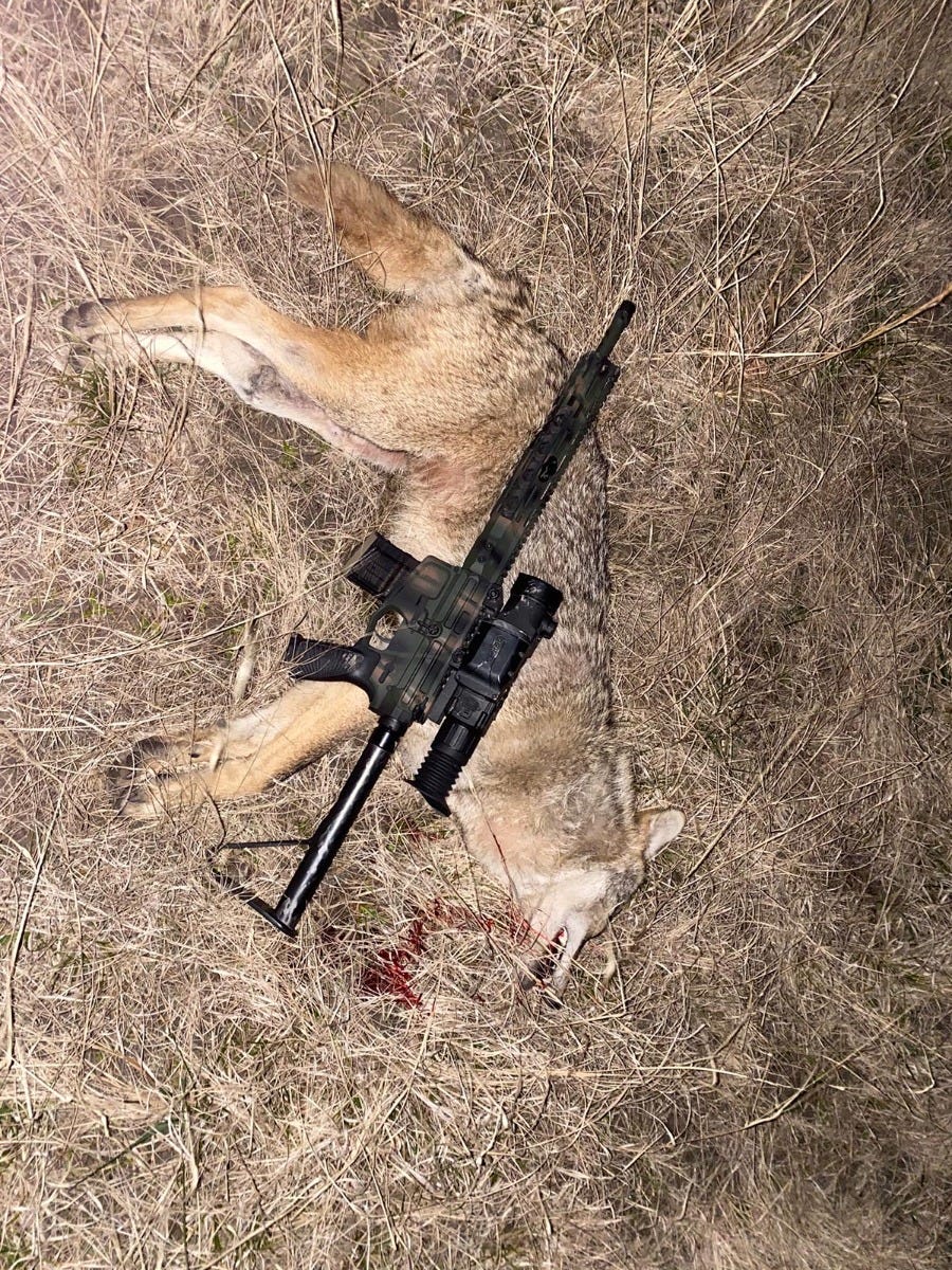 Wilson Combat hunting photo