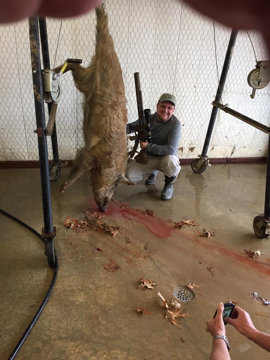 Wilson Combat hunting photo