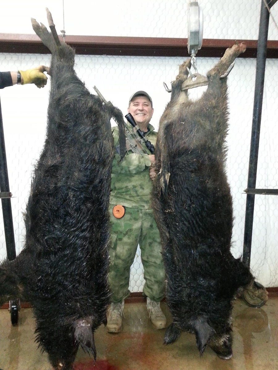 Wilson Combat hunting photo