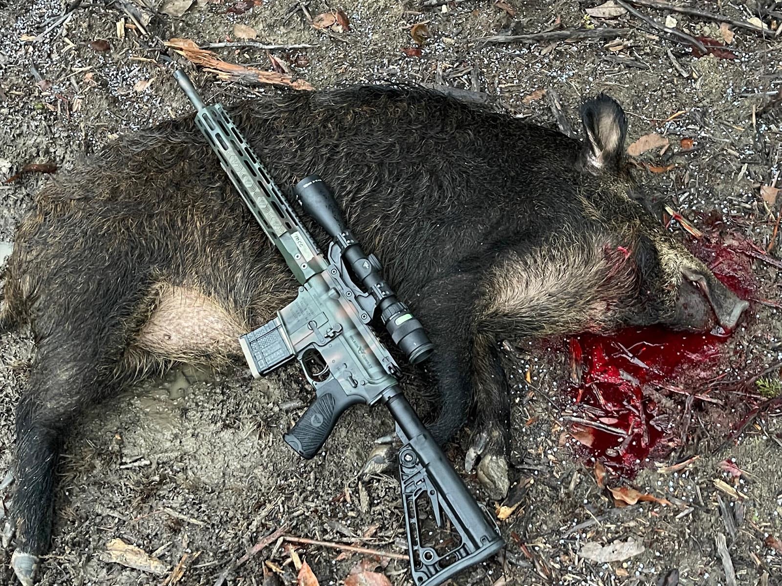 Wilson Combat hunting photo