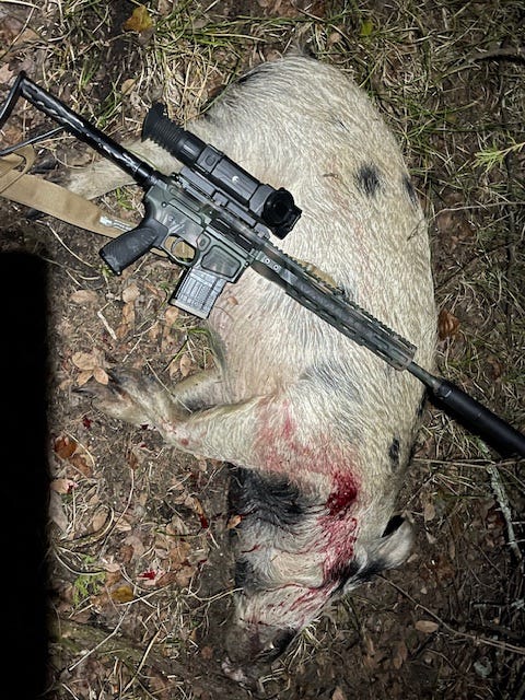 Wilson Combat hunting photo