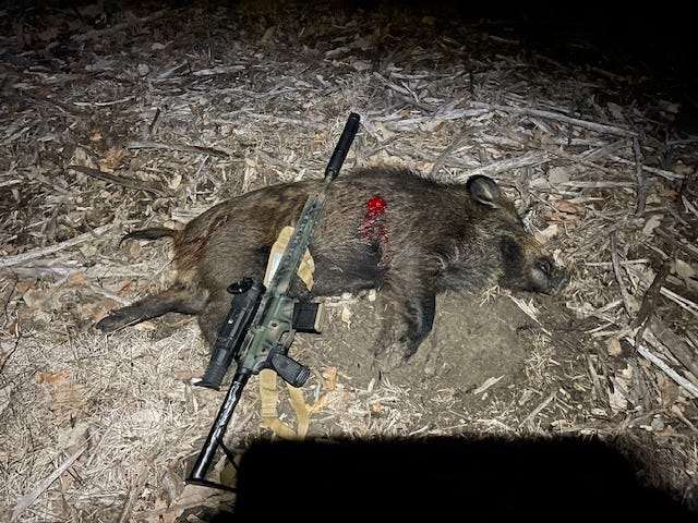 Wilson Combat hunting photo