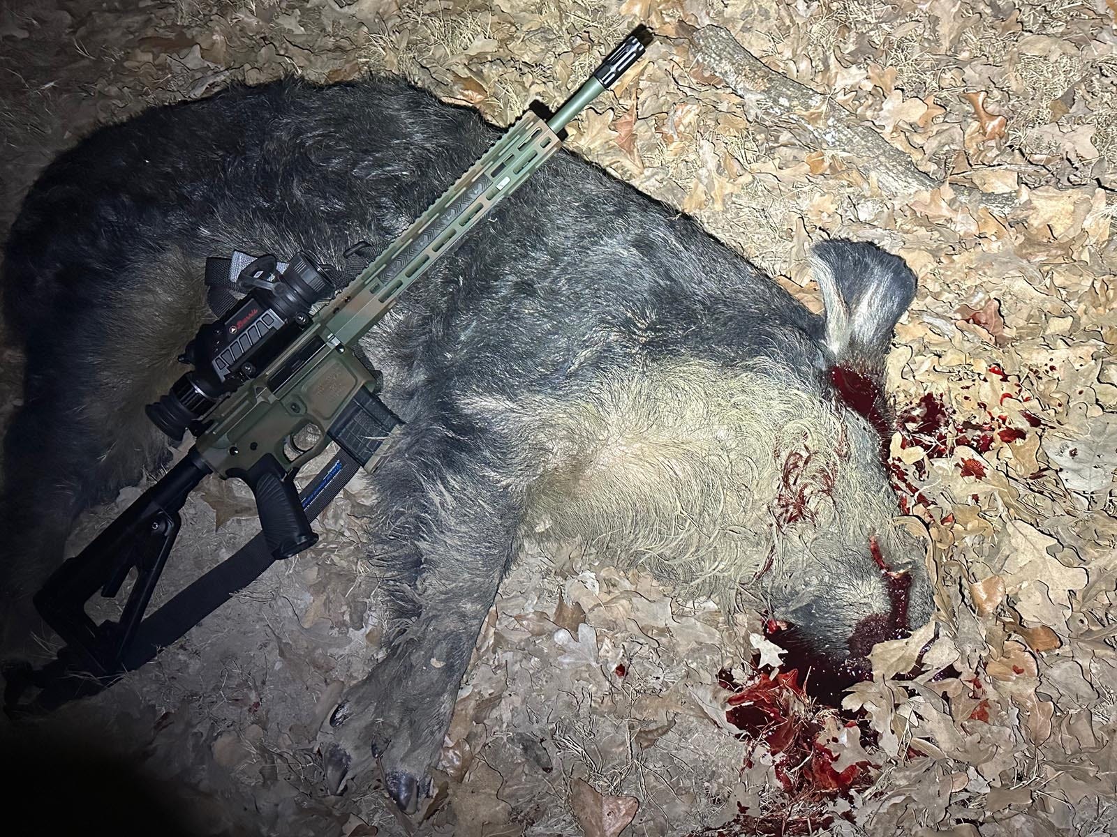Wilson Combat hunting photo