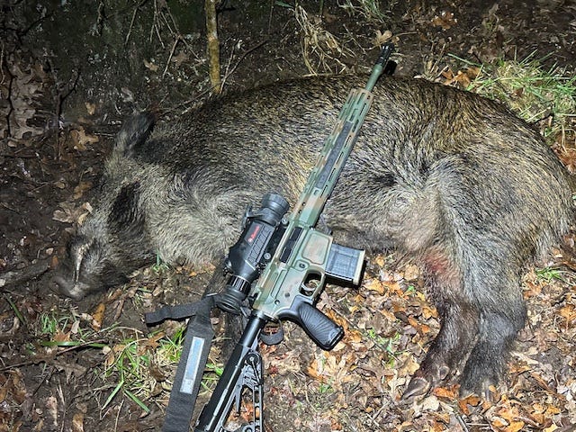 Wilson Combat hunting photo
