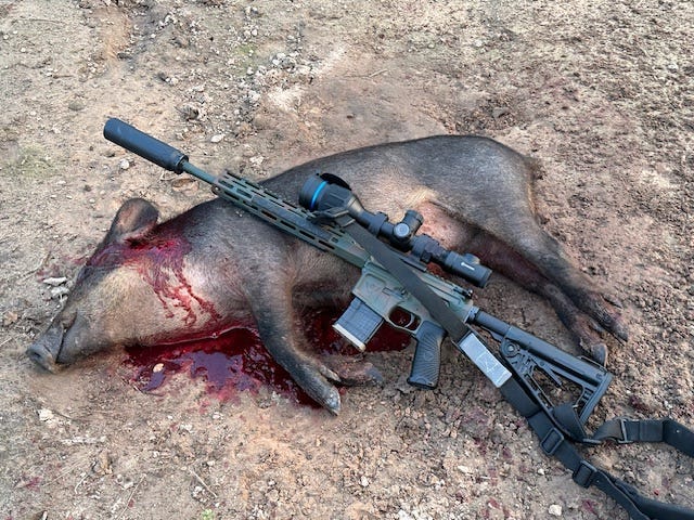 Wilson Combat hunting photo