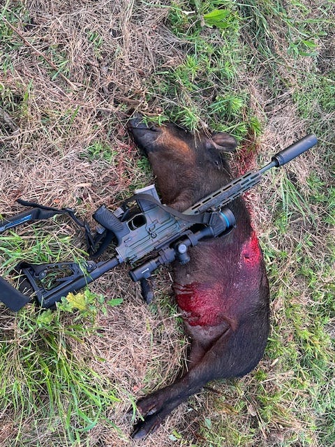 Wilson Combat hunting photo