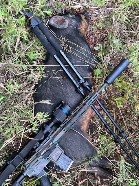 Wilson Combat hunting photo