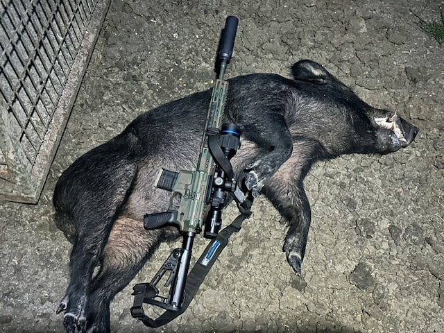Wilson Combat hunting photo