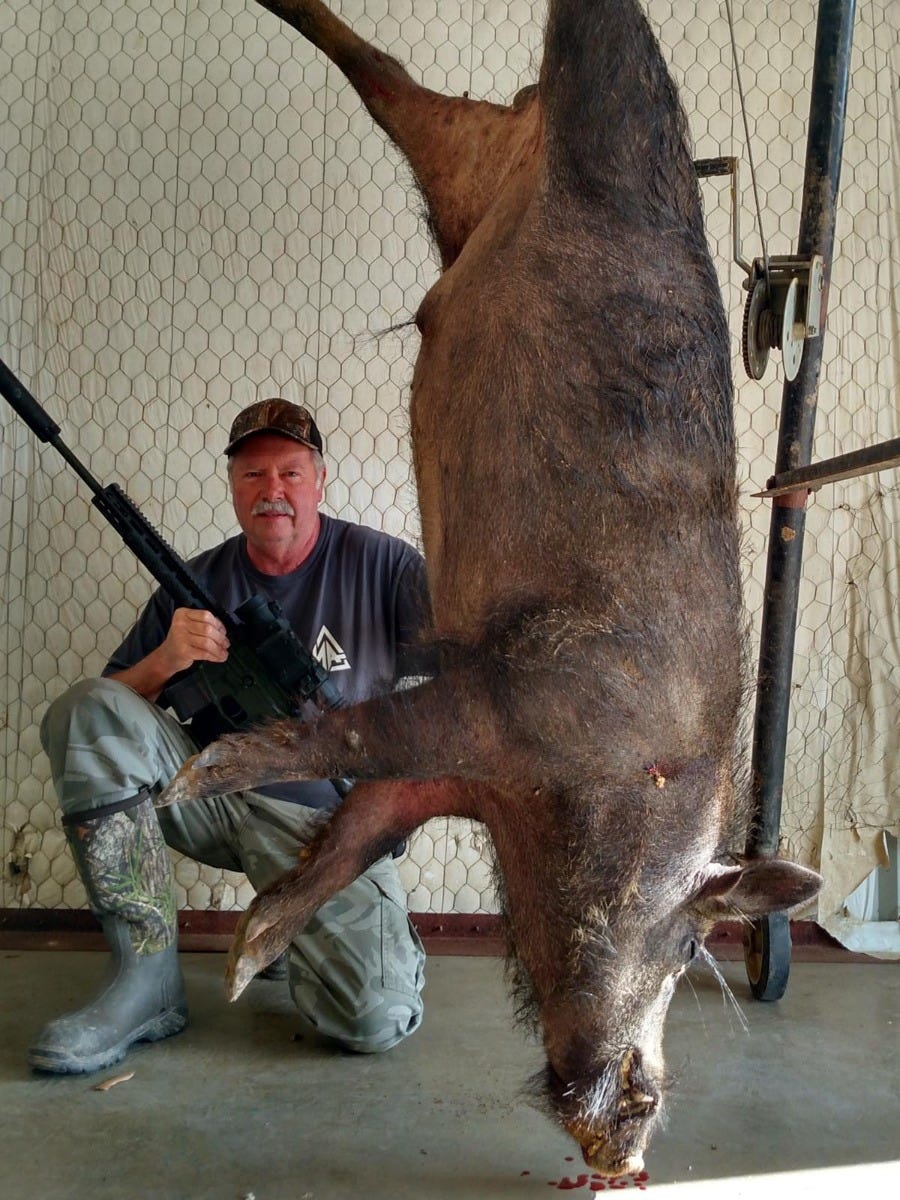 Wilson Combat hunting photo