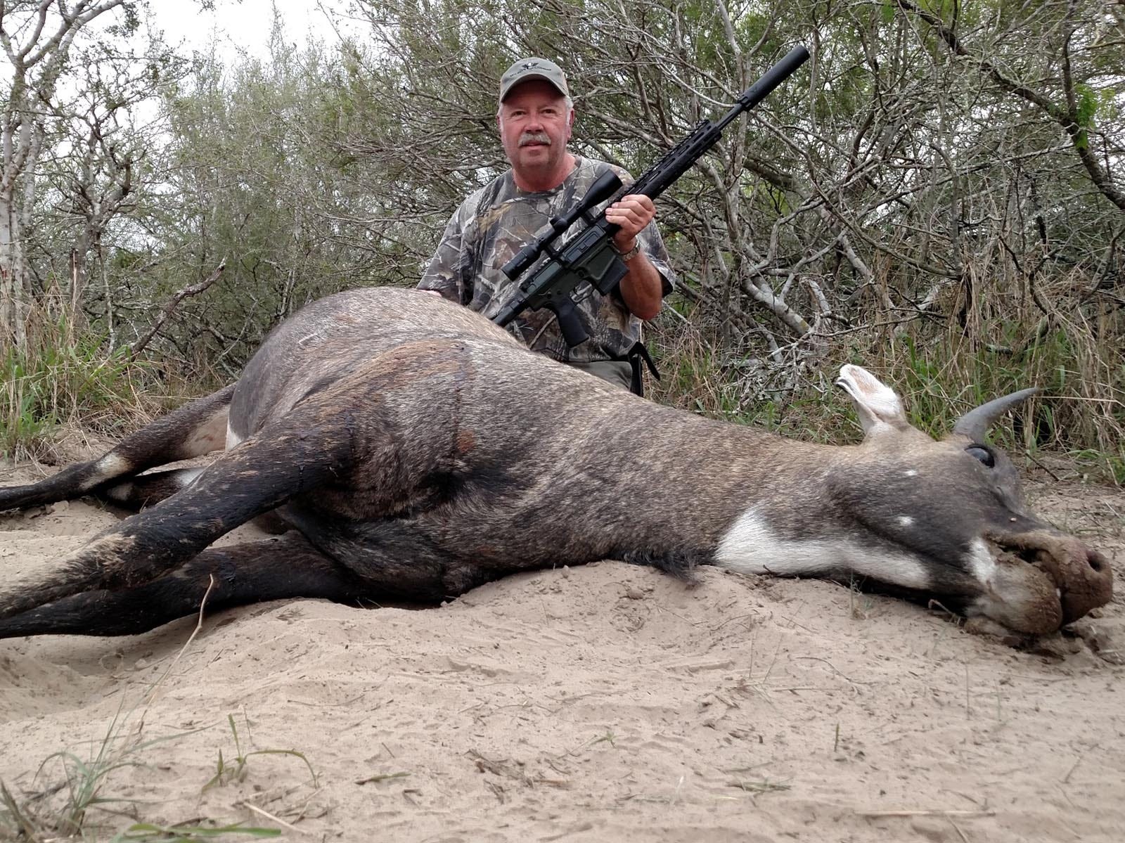 Wilson Combat hunting photo