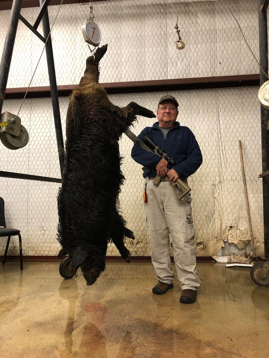 Wilson Combat hunting photo