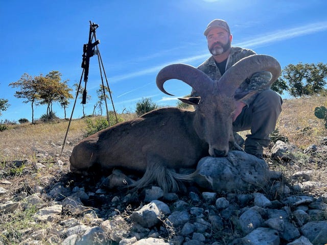 Wilson Combat hunting photo