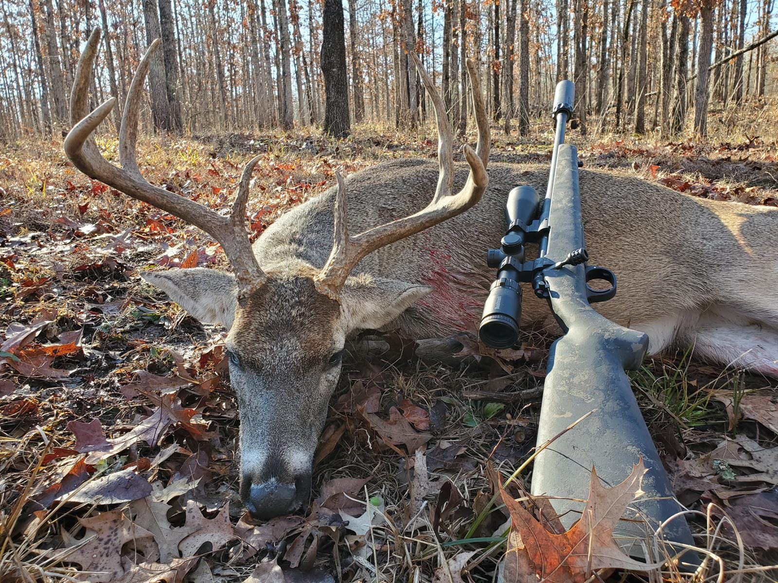 Wilson Combat hunting photo