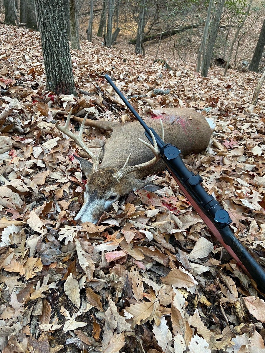 Wilson Combat hunting photo