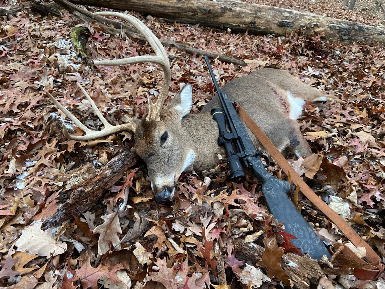 Wilson Combat hunting photo