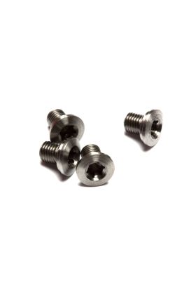 SCREW, 1911, GRIPS, SLIM LINE, TORX HEAD, STAINLESS, PACKAGE OF 4