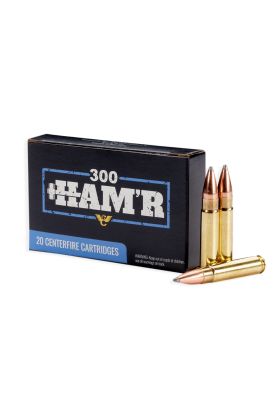 300 HAM'R | 110GR, HORNADY SP, 20/BOX