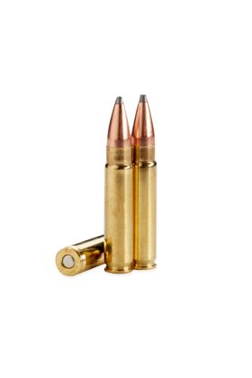 300 HAM'R | 110GR, HORNADY SP, 20/BOX