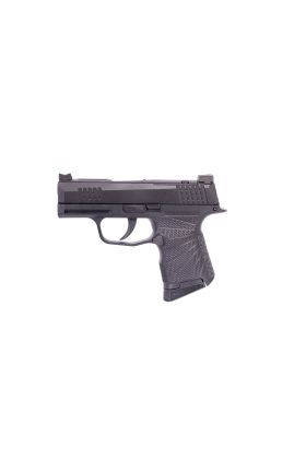 Sig Sauer, P365, Black Module, .380 ACP, Black